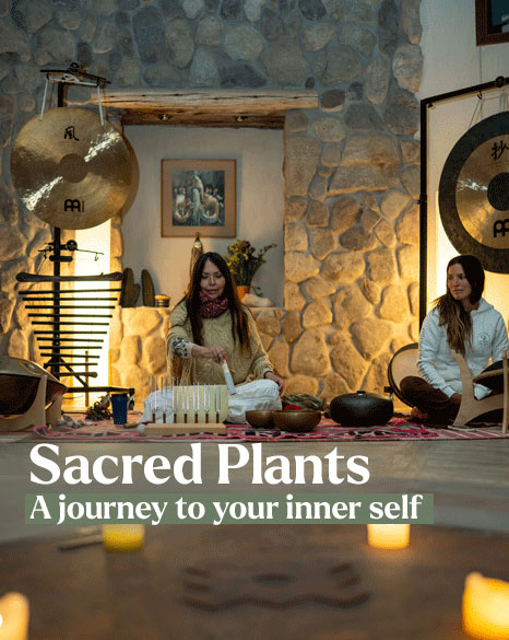 Sacred Plants Retreat